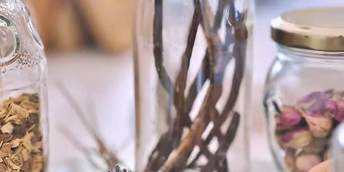 Capturing Plant Essence: The Art of Extracts & Tinctures