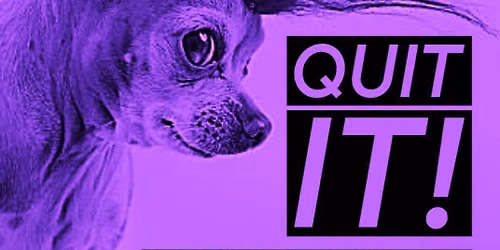 Quit It!. Caust!c. Jungle Jim's.