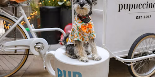 SCHNAUZER CAFE HALLOWEEN - OXFORD