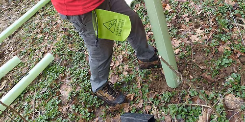 Tree Steward Program Field Training- Audubon Greenway