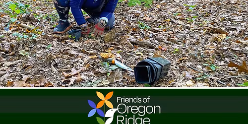 Woodland Restoration Stewardship Workday