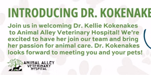 Welcome to Animal Alley Dr. Kokenakes!