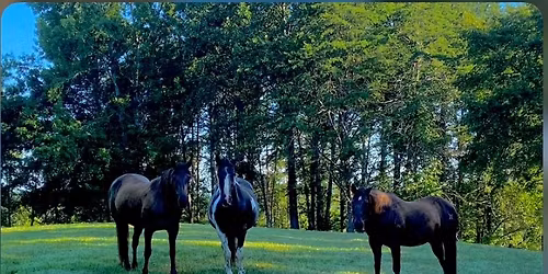 Ellen Stara Memorial Ride