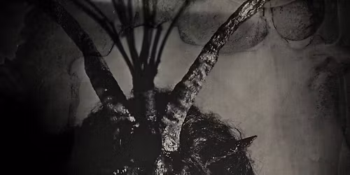 Tintype Portrait Taken By Ashley Kouri