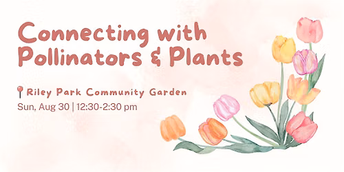 Connecting with Pollinators & Plants
