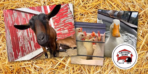 Critter Barn