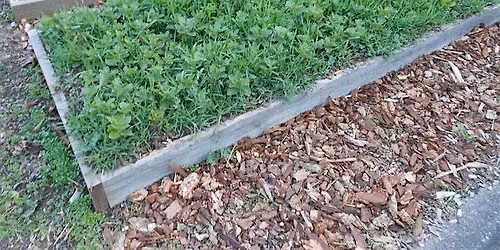 Fall\/Winter Extending Season Gardening Class 10.17