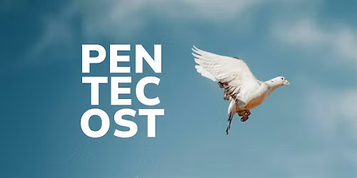 Pentecost: Young Adults Event