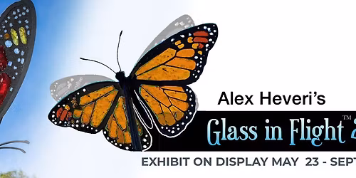 Glass in Flight 2 Exhibit at Kingwood