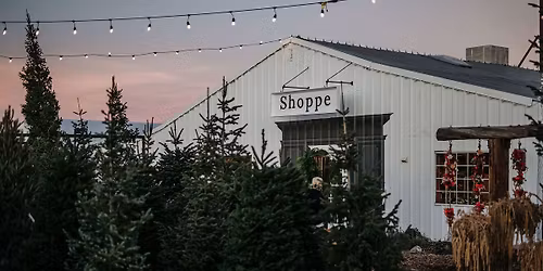 Freshly Cut Christmas Trees and Gift Shop