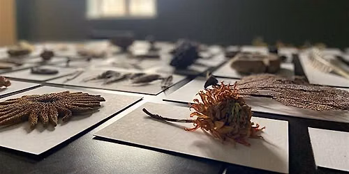 STUDY HALL (Open Studio)
