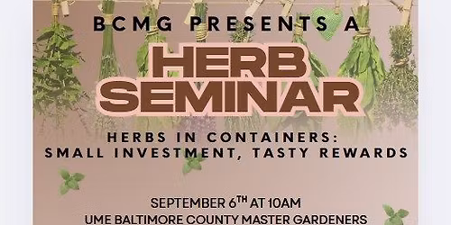 Herbs in Containers: Tasty Rewards for a Small Investment