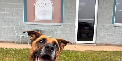 Sip and Adopt - The Kove and Langlade Humane Society