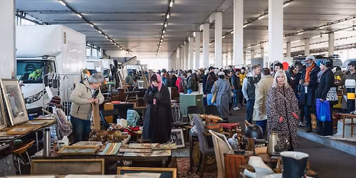Giant Summer Flea