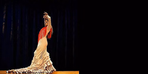 En Comunidad: An immersive Flamenco Experience