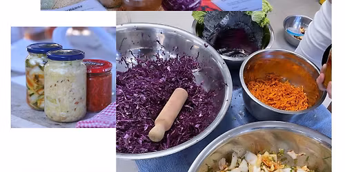 'Fermenting & Your Gut Health' - Mooloolaba