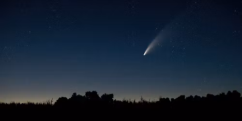 Persoid Meteor Shower Viewing at Gabis Arboretum 
