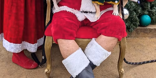 Pet Pictures with Santa