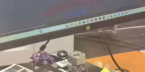 Free Thanksgiving Meal