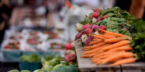 Celina Friday Night Market Presented by Renewal by Andersen - September