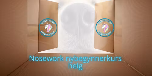 Nosework nybegynnerkurs - helg