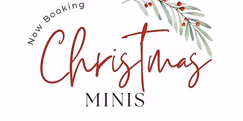 Christmas Minis