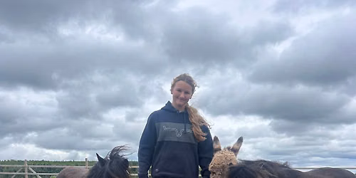 Mini Miniature horse camp