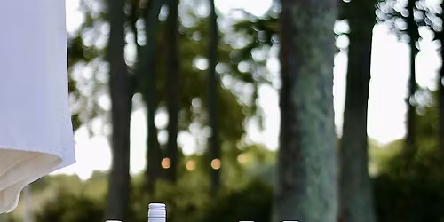 Inside the World of Wine: A Guided Tasting Series - Level 1