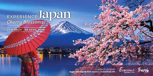 Experience Japan Cherry Blossoms