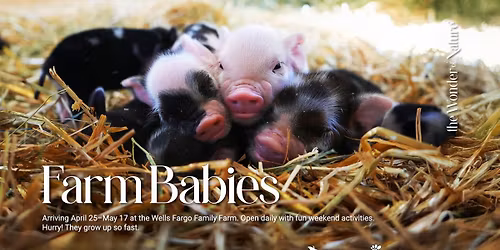 Farm Babies at the Minnesota Zoo