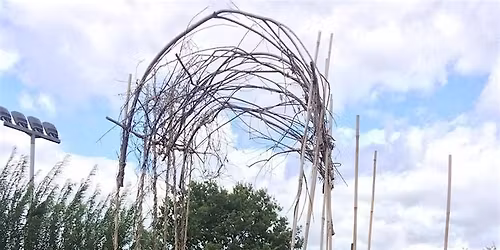 Corporate Volunteering At Harmony Gardens