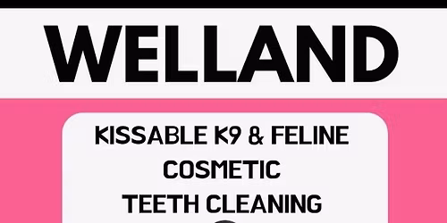 Kissable K9 Cosmetic Teeth Cleaning Clinic