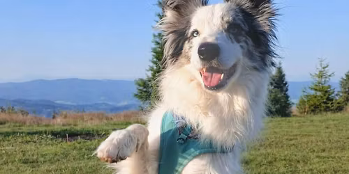 Warsztaty z kszta\u0142towania z Emili\u0105 Czechowicz z Psie ABC