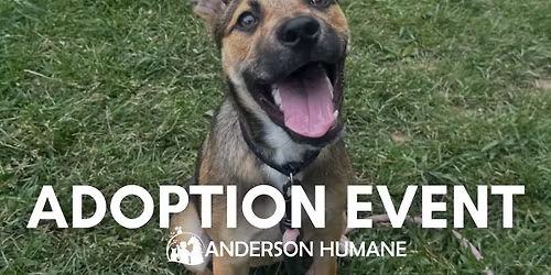 Petsmart Adoption Event