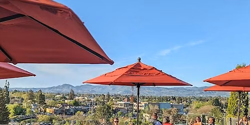 Rooftop Party at Lovely Napa Hotel
