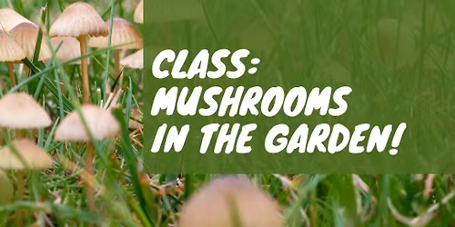 CLASS: Mushrooms in the Garden: the good and the bad! 