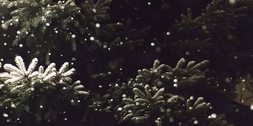 Echoes of Eden: A Christmas Marketplace