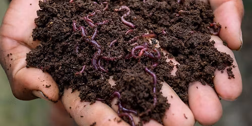 Workshop:  Composting 101 (Los Angeles)
