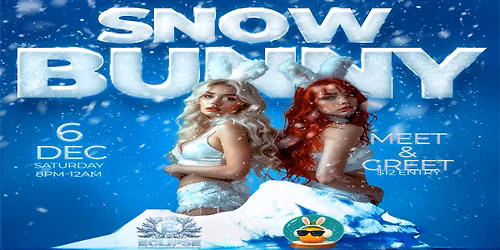Snow Bunny - December Meet & Greet with Bunny Costume Theme