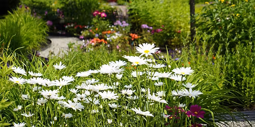 Garden Tour