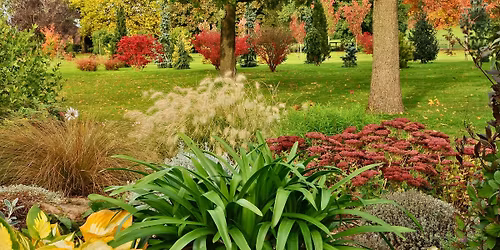 John's Garden Charity Autumn Open Days