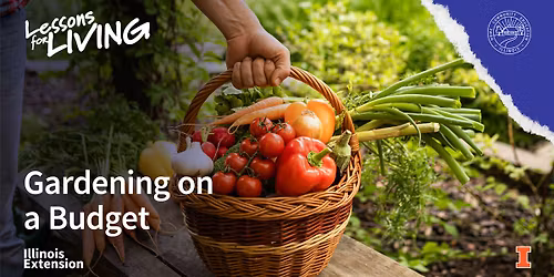 Gardening on a Budget | Lessons for Living | Mount Morris