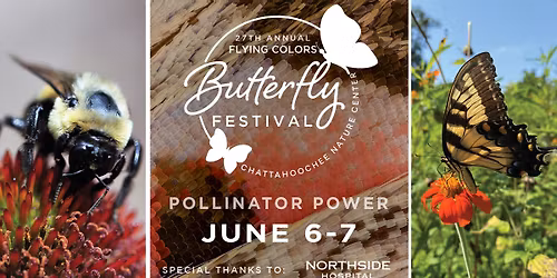 27th Annual Flying Colors Butterfly Festival