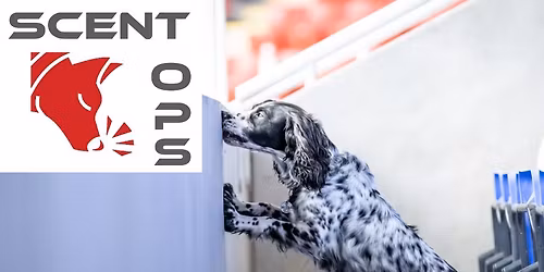 ScentOps Double Bronze Trial