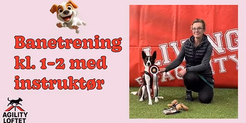 FULLT! Banetrening i agility - klasse 1-2