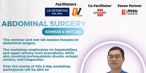 Abdominal Surgery