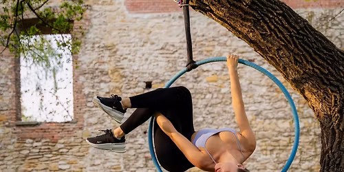 The Pawformance \ud83d\udc3e - kuty\u00e1s karika fot\u00f3z\u00e1s