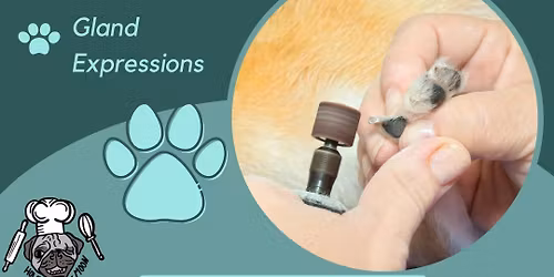 PAWdicure Day