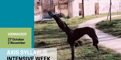 OPEN THE BORDER \u2022 Axis Syllabus Intensive Week