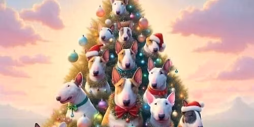 Sutton Park Christmas Walk - Streetly Gate, Jamboree Stone